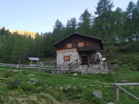 IMG_20220602_071303 (1)