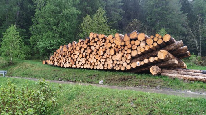 WhatsApp Image 2023-05-10 at 08.22.07