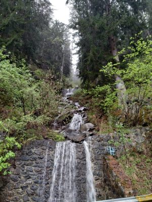 WhatsApp Image 2023-05-11 at 12.53.54 (1)