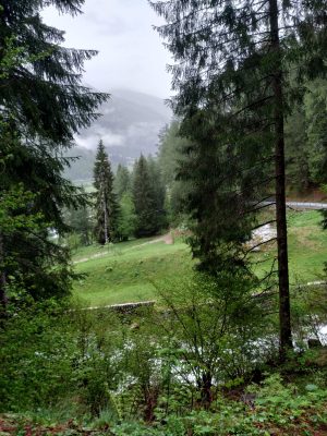 WhatsApp Image 2023-05-11 at 12.53.55