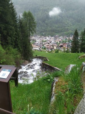 WhatsApp Image 2023-05-11 at 12.53.58